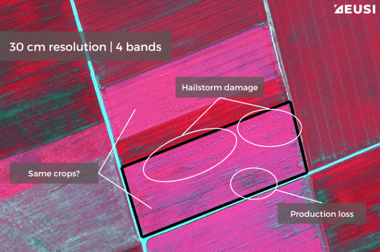 30 cm image provides the highest amount of detail and measurement accuracy commercially available. By displaying the NIR1, Red and Green bands, you can identify crop damage. It seems the same crop is grown in both fields. Satellite image © 2024 Maxar Technologies Provided by European Space Imaging