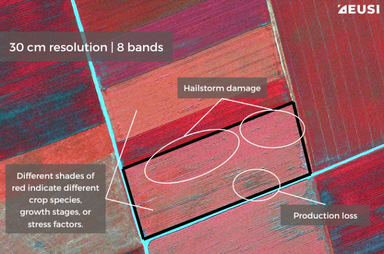 8-band imagery reveals more information: Switching to the NIR2, Yellow and Coastal bands shows a difference in crop species, growth stage, or stress factors. Satellite image © 2024 Maxar Technologies Provided by European Space Imaging