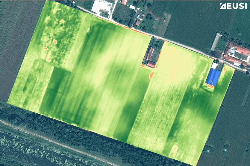 Vegetation analysis with 4-band satellite imagery