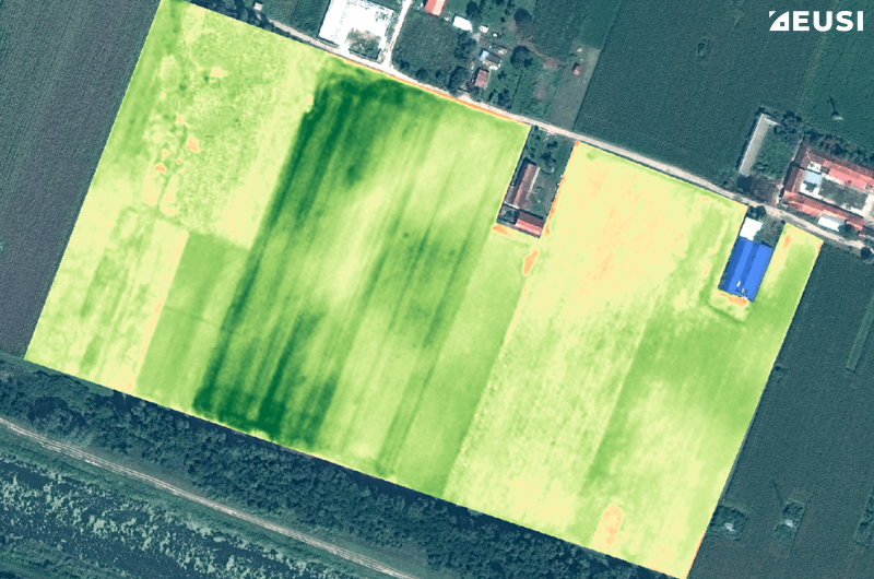 Vegetation analysis with 8-band satellite imagery