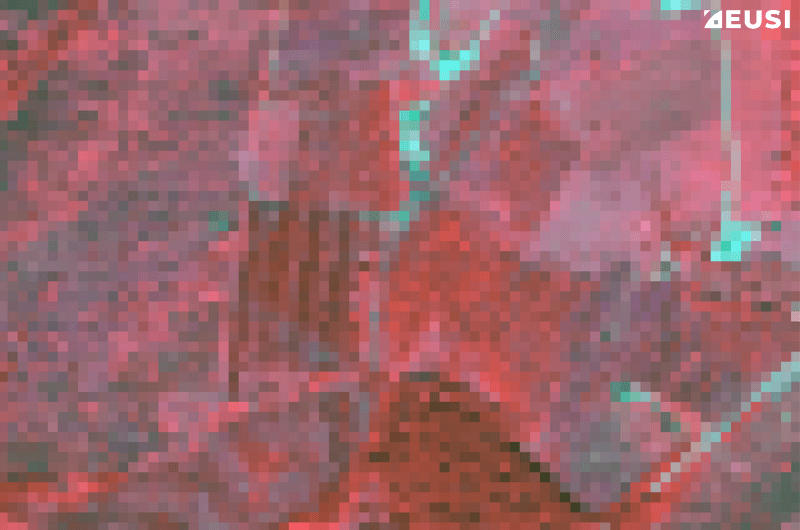 Satellite image at 5 m resolution