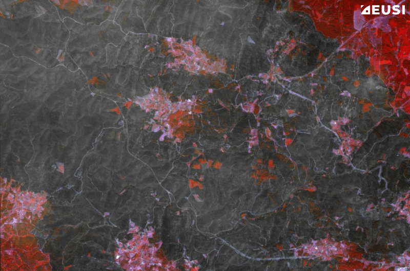 Multispectral satellite image of a wildfire