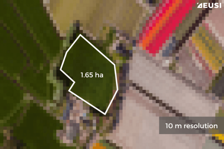 10 m vs 30 cm: Comparing a 10 m Sentinel image vs 30 cm WorldView-3 image showed a 22.4% error in measuring the field size. Satellite image © 2024 Maxar Technologies Provided by European Space Imaging
